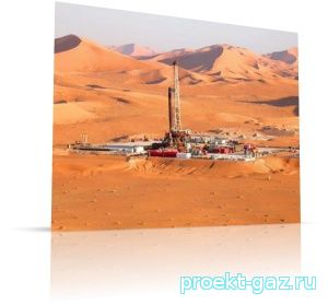 В Алжире проходят массовые акции против добычи сланцевого газа